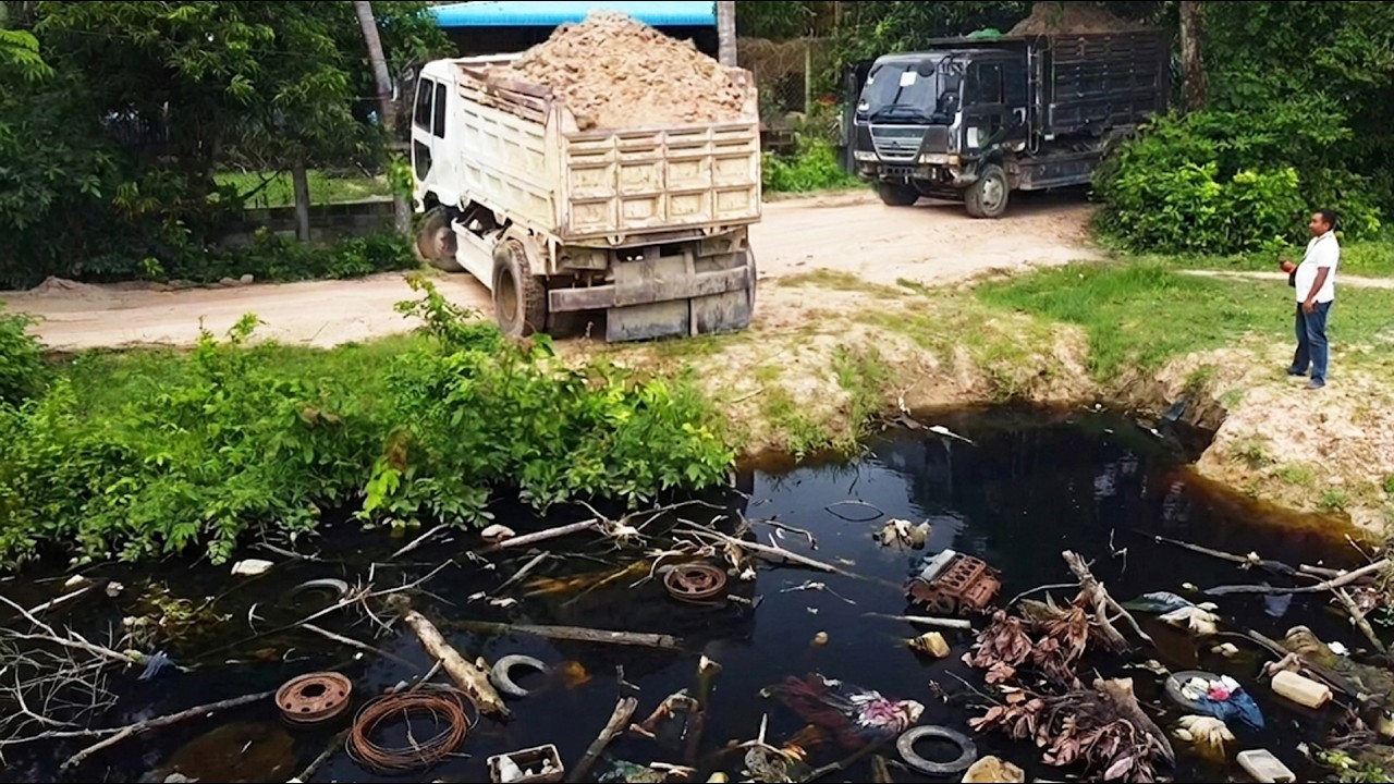 First Start Amazing PROJECT!! LANDFILL Delete Deep Pond & Clearing Tree BY Strong Dozer & 5Ton Truck