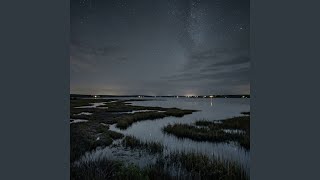 Silver Night - Delta Waves 3.22 Hz - Rest And Recovery (Silver Drift)