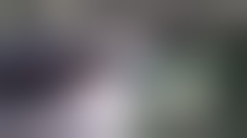 The Walking Dead - Unofficial music video