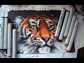 Tiger - copic markers time lapse