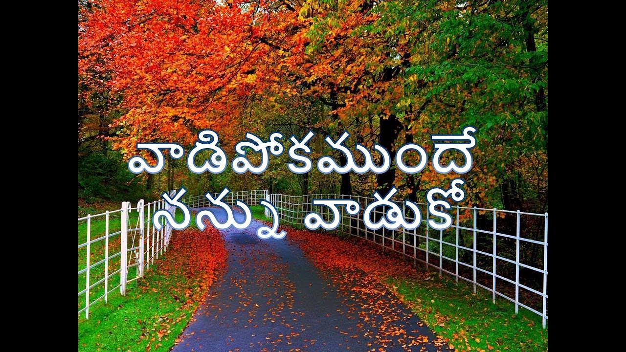 VADIPOKA MUNDE NANNU VADUKO ll    ll TELUGU CHRISTIAN SONG