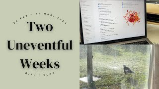 Two Uneventful Weeks / DITL / VLOG / 26 Feb - 10 Mar 2024