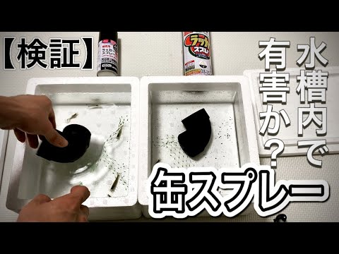 検証 ラッカースプレーで塗装した塩ビパイプは水槽で有害か 無害か 63 Youtube 検証 ラッカースプレーで塗装した塩ビパイプは水槽で有害か 無害か 63 Youtube