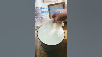 The best way to kill cockroaches  ￼