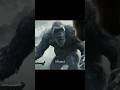 Kong’s Toothache Hides a Shocking Hollow Earth Secret! #shorts