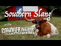 Southern Slang with Conquer Divide