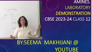 Amines - Lab Demonstration / solubility / basic character class 12 CBSE