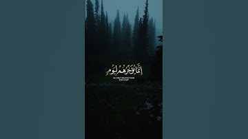 ولا تحسبن الله غافلا عما يعمل الظالمون 🤍 ｜ القارئ شريف مصطفى ｜ سورة إبراهيم ｜ قرآن كريم
