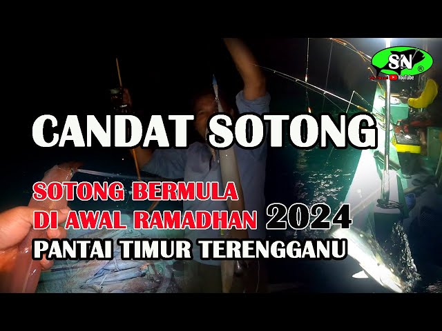 CANDAT SOTONG🦑 Sotong 2024 dah mula masuk kawasan Pantai Timur Terengganu class=