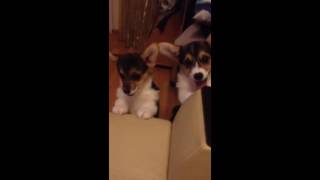 VID 20161015 1