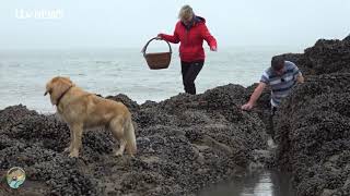 Coastal Foraging with Craig Evans FIRST TV APPEARANCE.