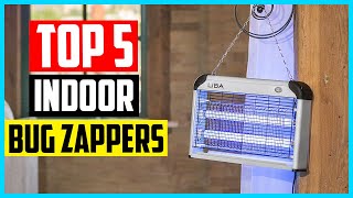 Top 5 Best Indoor Bug Zappers in 2024 Reviews