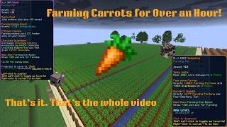 Hypixel Skyblock - Farming Carrots (Totally Normal Activity!) - Twitch VOD!