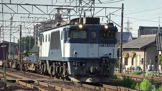 早朝のコンテナ輸送EF64-1020　1252ﾚ(名古屋ター笠寺)　稲沢タに到着