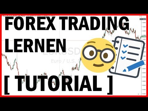 Forex trading lernen video
