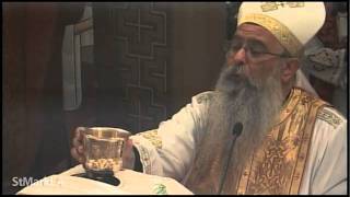 Liturgy According to St  Basil (English) - Fr  Shenouda Ghattas