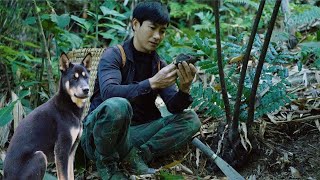 Another fun day of adventure searching for rare herbs in the forest for the CEO and Micky.