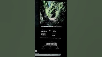 This Website Tracks Any Photo’s Location! 🌍(GeoSpy Test)