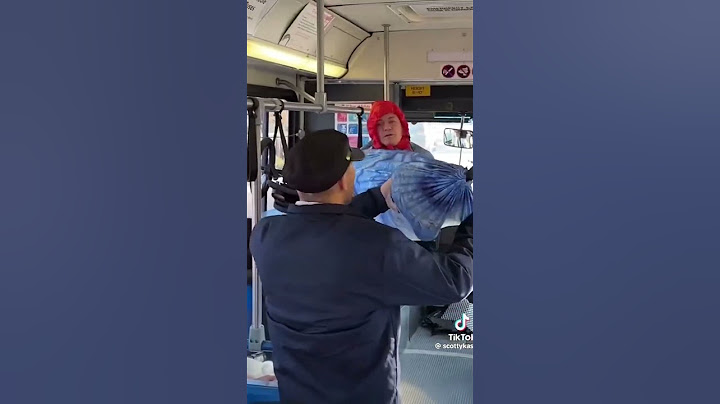 Hammock On City Bus Situation Goes How You’d Expect