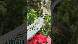 🚂 A Miniature World Inside Flower Dome! 🇸🇬 #Singapore #TravelShorts #ModelTrains