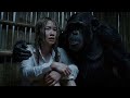Survival in Despair | Can the Bond Between Kingkong and the Beauty Overcome the Darkness?