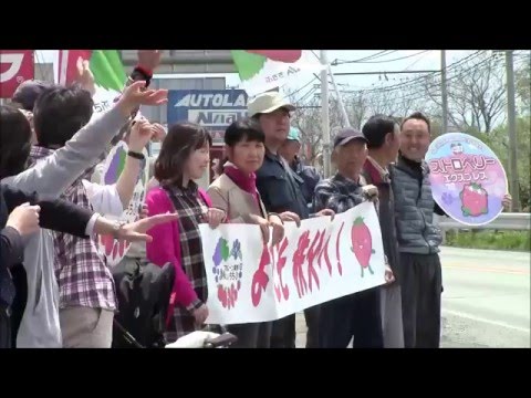いちご列車　2016