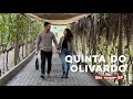 QUINTA DO OLIVARDO - SÃO ROQUE/SP