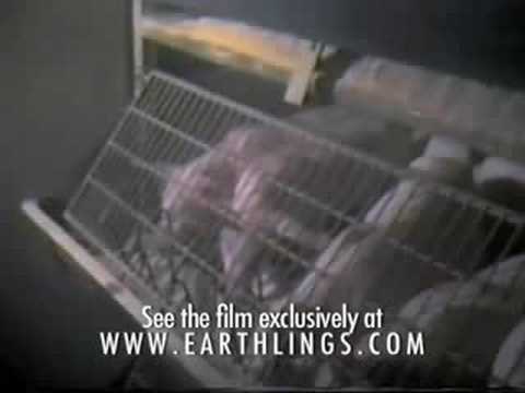 Earthlings 7 Min Opening Youtube