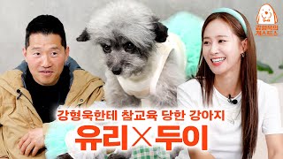 My DooE is a poodle, not a raccoon! [Kang Hyungwook's Doguest Show] EP.10