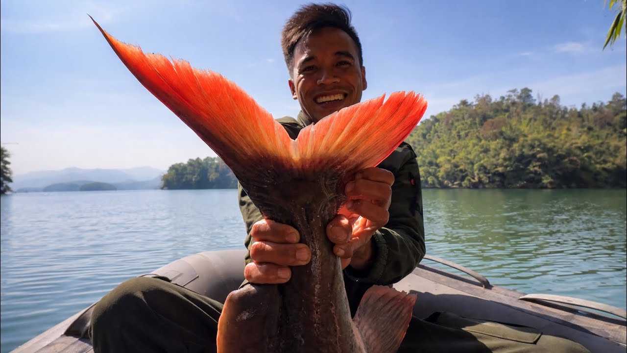 Trúng Bầy Cá Lớn Sông Đồng Nai - Bắt 3 Con Cá Khủng – Ngủ Đảo Hoang /Fishing in VietNam village