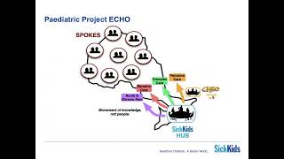 Paediatric Project ECHO