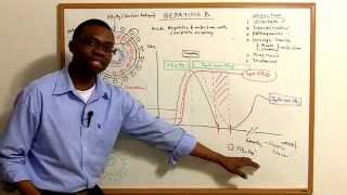 Hepatitis B Video: A must watch for everyone.