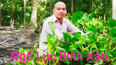 Ngó Lục Bình Xào Thịt heo, món ngon dân dã miền sông nước.