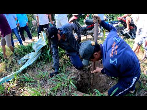 Video Tiếng Khè Lảnh Lót Của Rắn Độc Làm Nhốn Nháo Cả Khu... - youtube