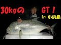 小浜島遠征にて33kgのGT【沖縄ぶっこみ釣り】 Video fighting 33kg of GT!