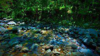 Beautiful mountain river flow, Relaxing River Sounds, helps sleep, stress reliever