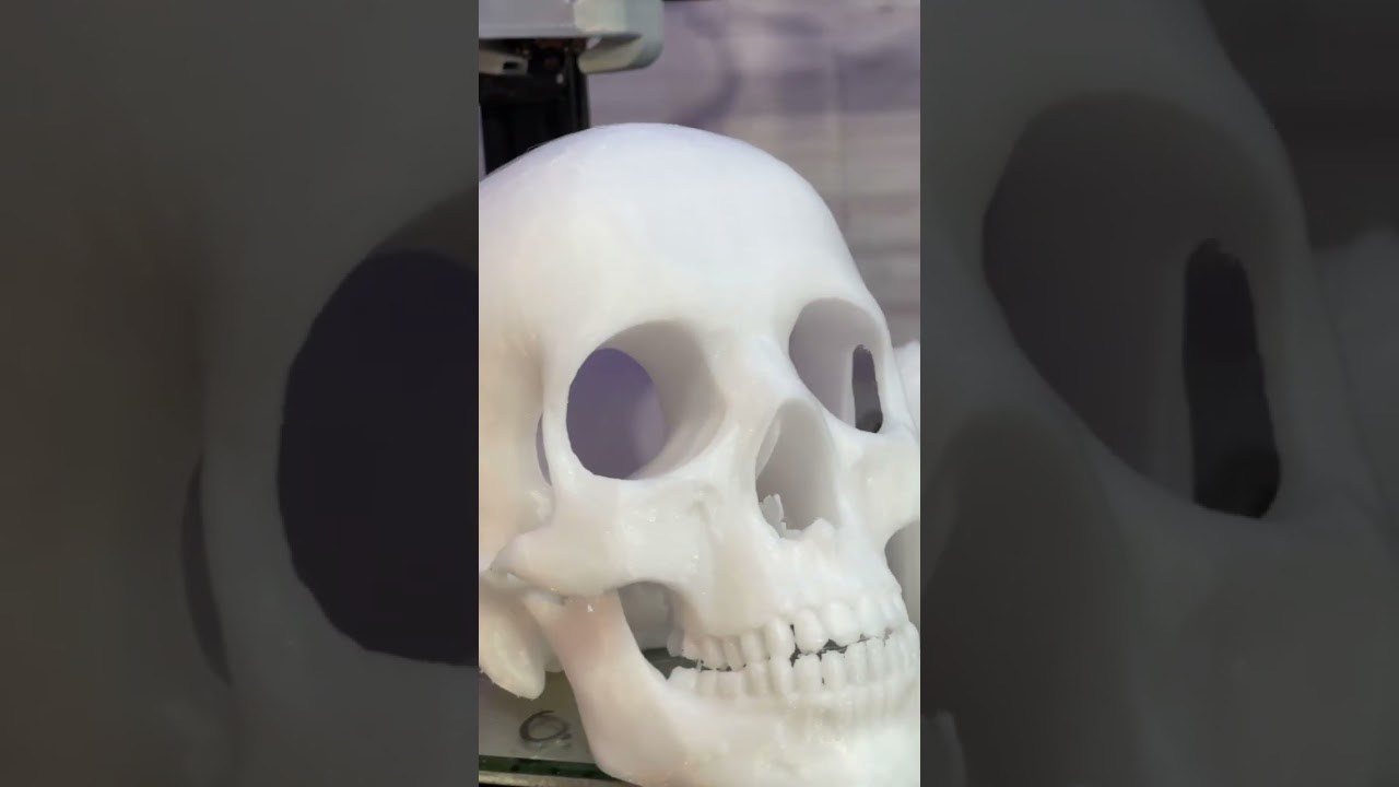 Custom 3D printed skull for Amazon Echo.
