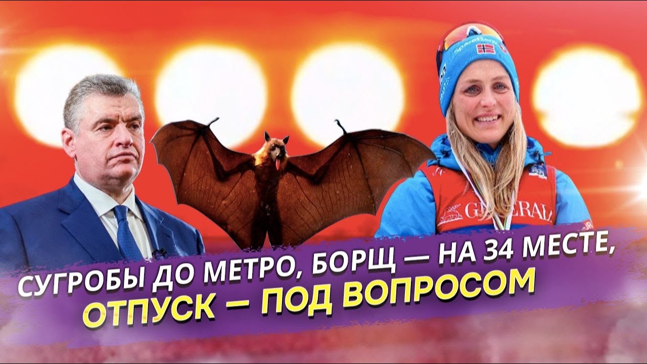 От снежных тропиков в Москве до вируса в манго: Как Дед Мороз устроил год "подарков с последствиями"