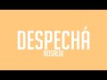 DESPECHГЃ ROSALГЌA Lyrics Video рџЊ DESPECHГЃ ROSALГЌA Lyrics Video рџЊ