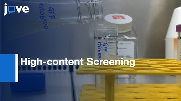 High-content Screening of Mycobacteria by Microscopic Phenotypic Assay | Protocol Preview
