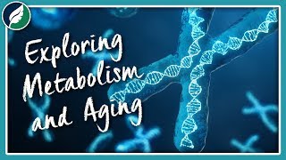 Exploring Metabolism and Aging | Compilation by Nature League 2,704 views 4 years ago 36 minutes