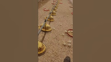 المنشاوي سورة غافر حالات واتس اب