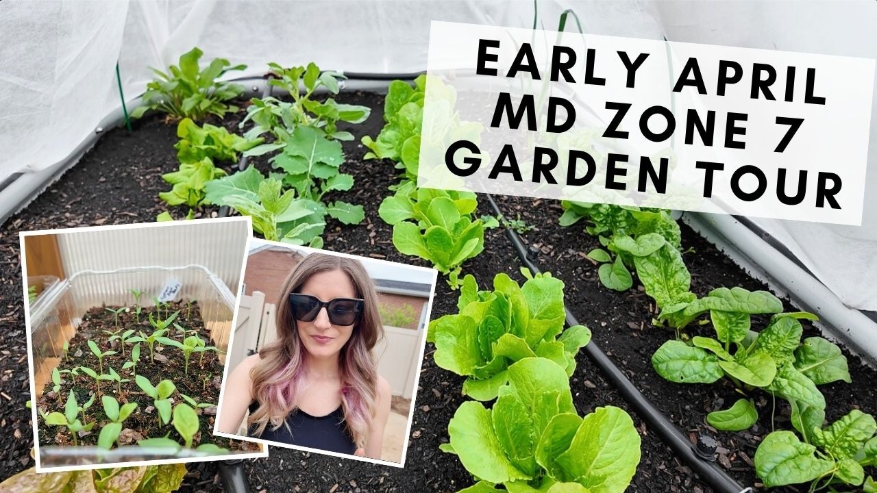 REPOLAR WELCOME TO MY GARDEN 7個セット Tour my early spring zone 7 garden with me (April in Maryland