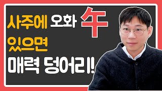오화(午)가 가장 인기 많은 이유는?