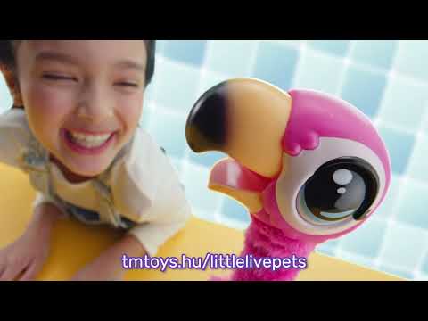 Little Live Pets: Potyi a flamingó video