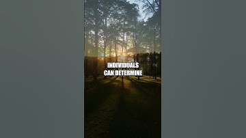 Navigation Techniques Using Sun and Shadows