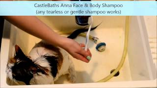 How To Wash & Dry A Persian Cat