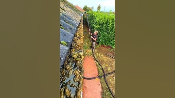 Most Satisfying Cleaning & Lawn Transformation 🧹🌿 (ASMR) #trending #asmr #cleaning #ndwtheez #viral