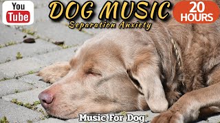 20 HOURS of Dog Calming Music🐶💖Anti Separation Anxiety Relief Music🦮🎵 Music For Dogs⭐Healingmate