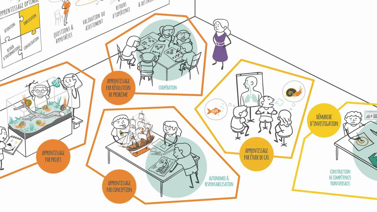 Impliquer les élèves pour donner du sens aux apprentissages